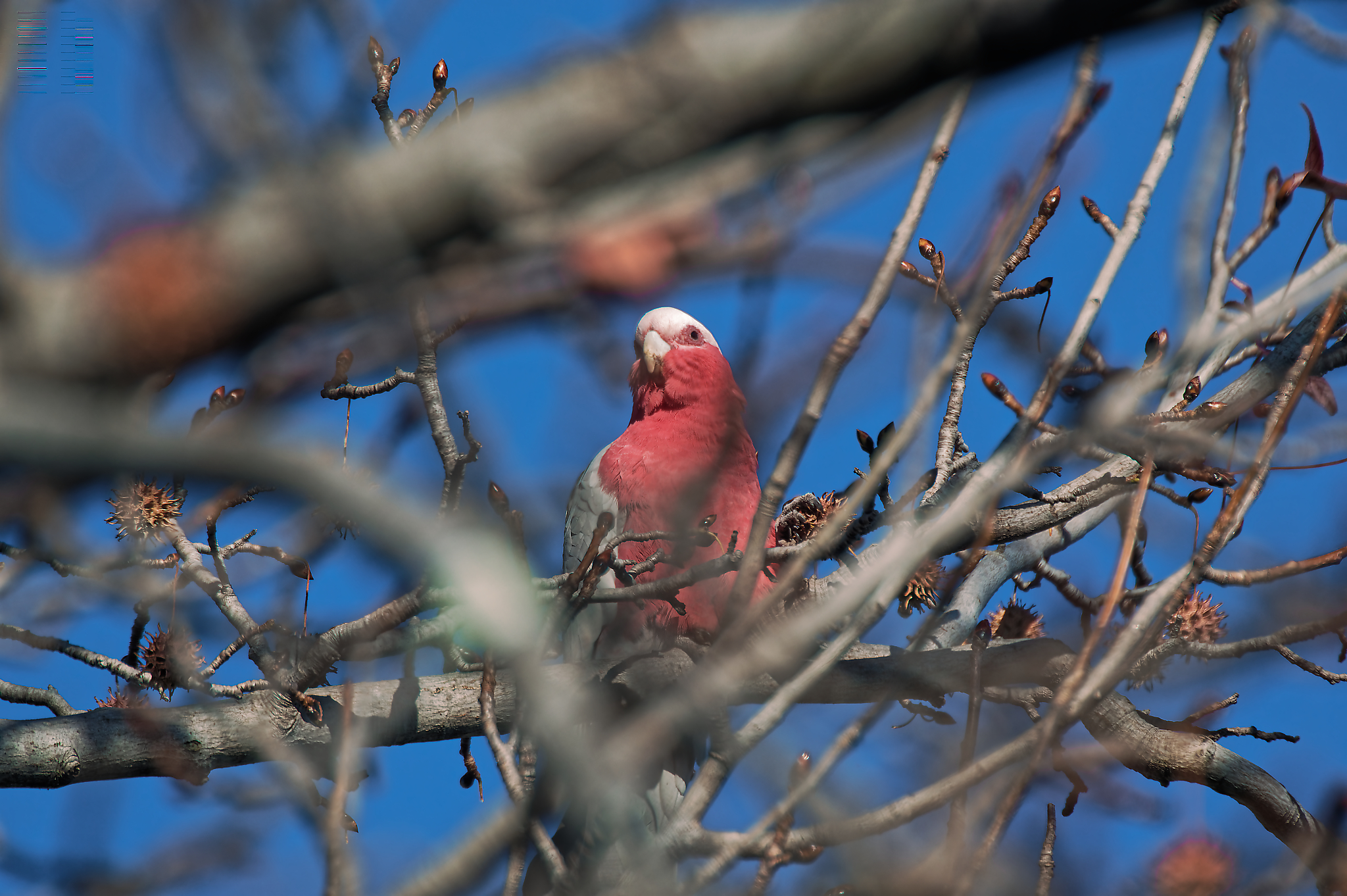 06 18 June 2022 09 01 35   0002fotosbyme